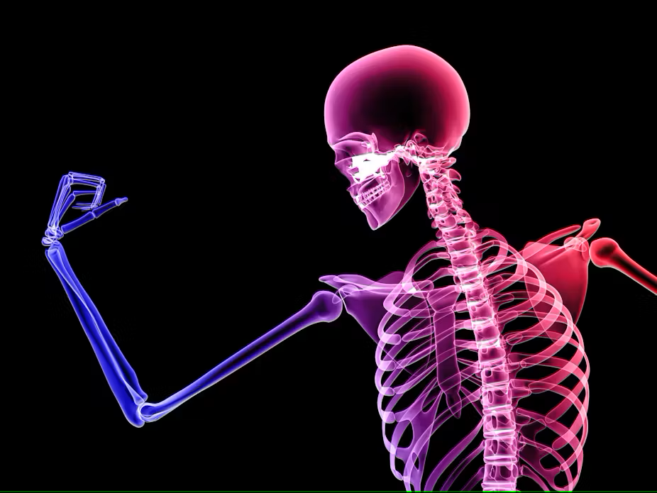 Bone Health